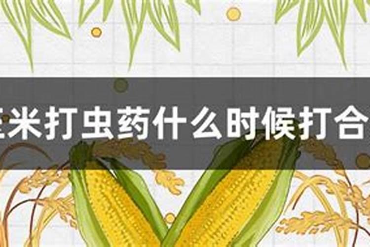 ...钾在玉米几叶时喷.喷几遍好,和打虫药及其他叶面肥一起打可以吗？谢谢...