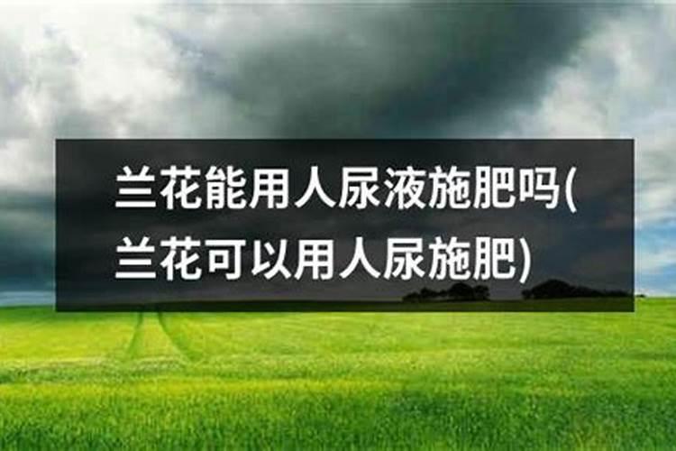 可不可以把尿当作花肥来给花浇灌