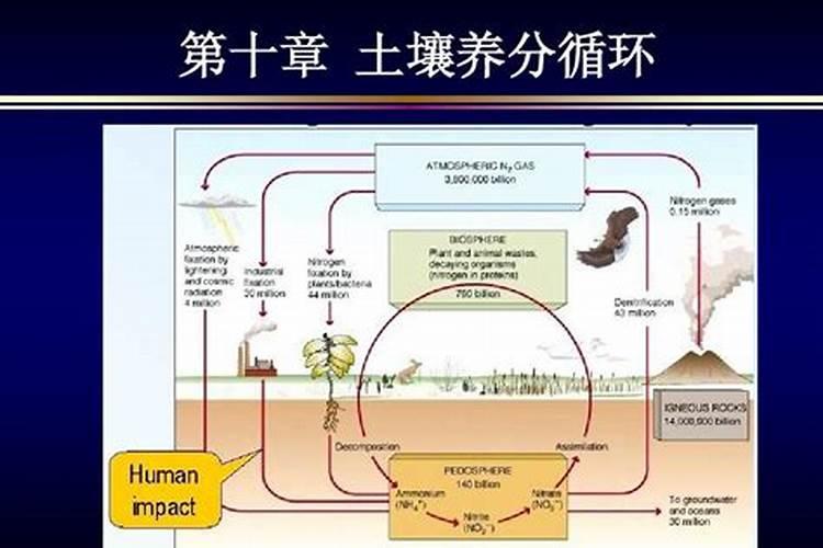 羊粪属于氮肥还是磷肥