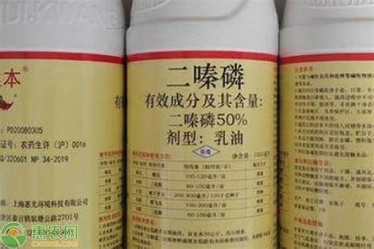 二嗪磷能用于兰花吗？
