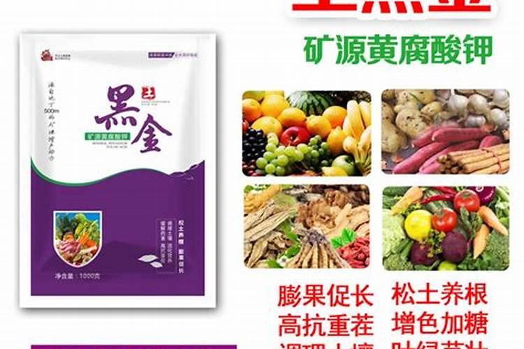 红薯种植施用什么肥料好