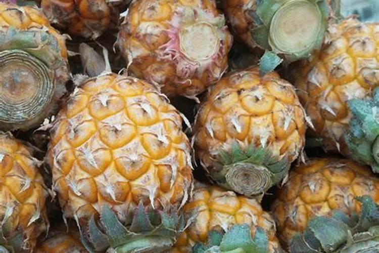 菠萝皮泡水可以浇花吗
