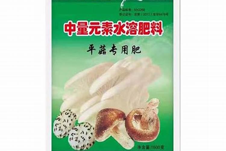 平菇生料栽培配方