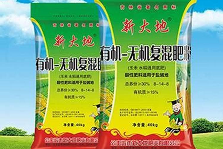 圆枣子树发的新芽为什么长长尖就死了