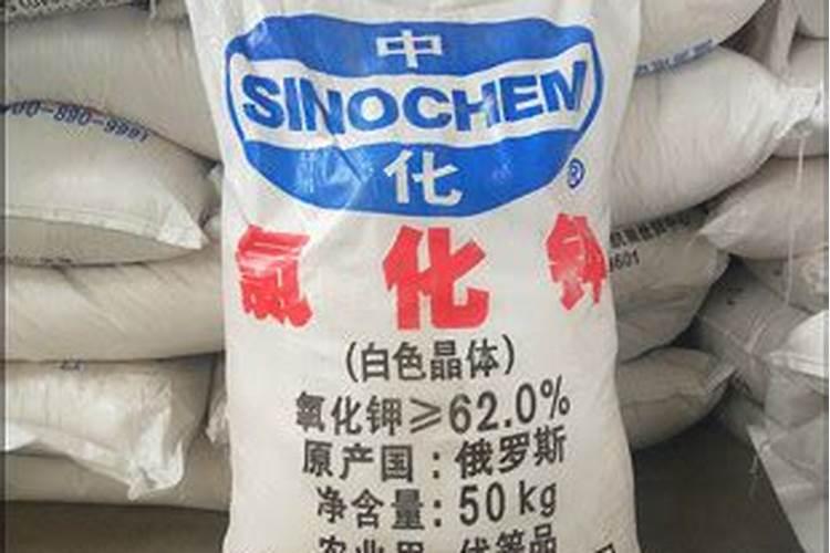 浙农股份是出口钾肥还是进口钾肥