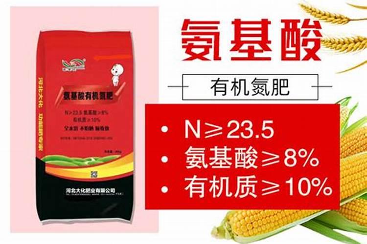 山楂树盆景如何养护
