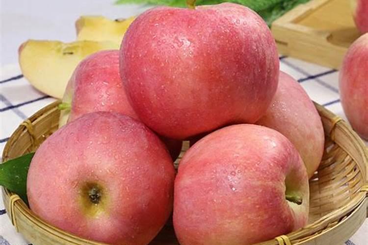 稻飞虱用什么药最好