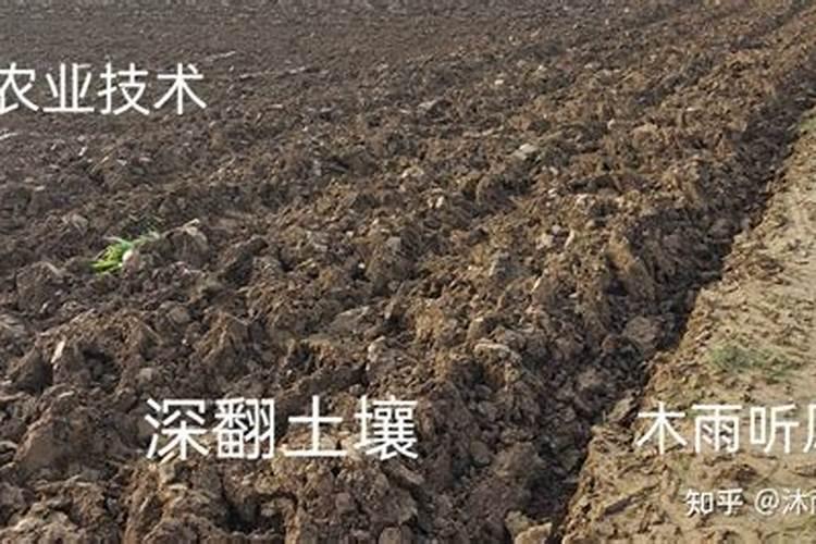氮肥过多怎么样处理