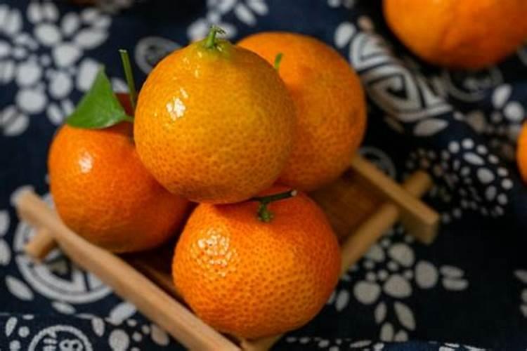西红柿用什么肥料好