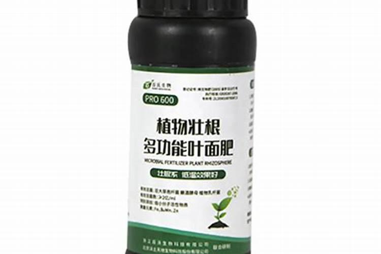 叶面肥有哪些牌子 排行榜都有哪些上榜