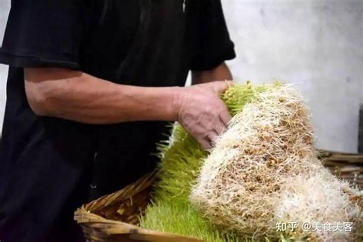 麦子种植需要追肥吗？为何这么说？