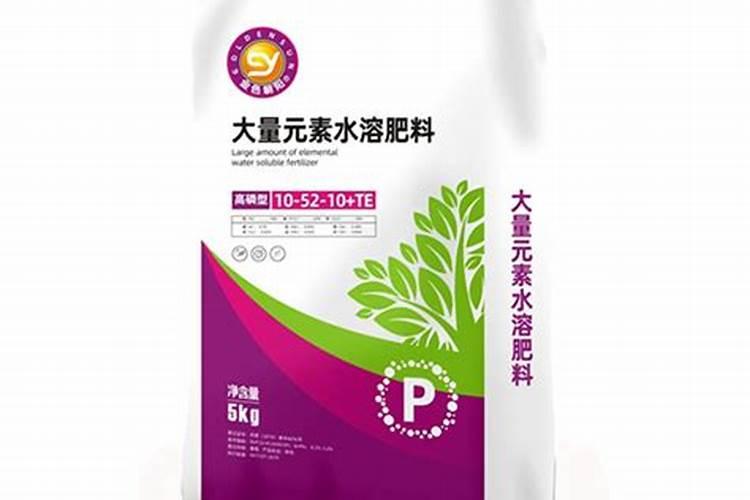 甘蔗用什么肥料比较甜 施肥要点有哪些
