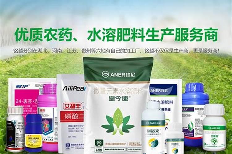 蟹爪兰秋天怎么养才能开花 蟹爪兰花期怎么养