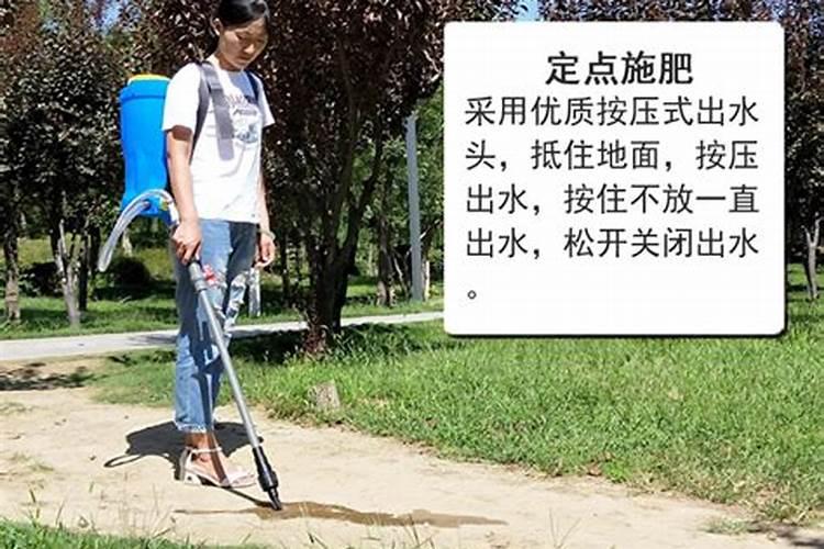 金桔什么时候开花,开花时怎么养？