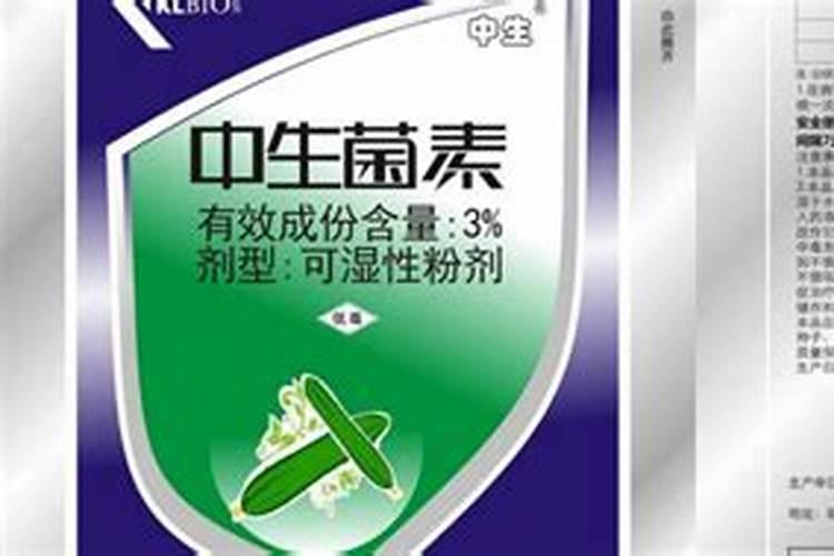 老师这姜是什么病,我用叶枯唑加中生菌素和叶面肥,能好吗