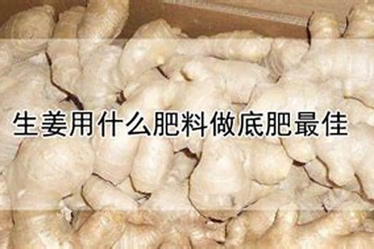 最适宜姜的肥料是