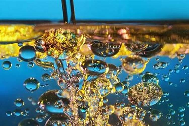 动物油如何作为肥料