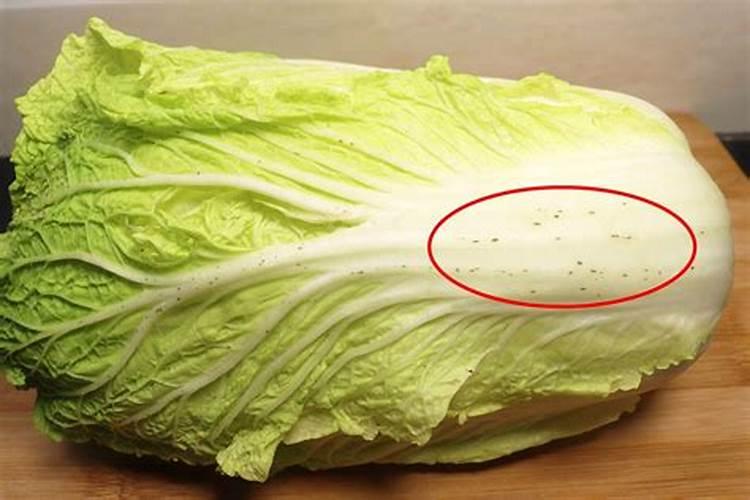 小白菜种种子,施了碳磷钾肥,如图,可以吃吗？以后施什么肥,因为用吸水...