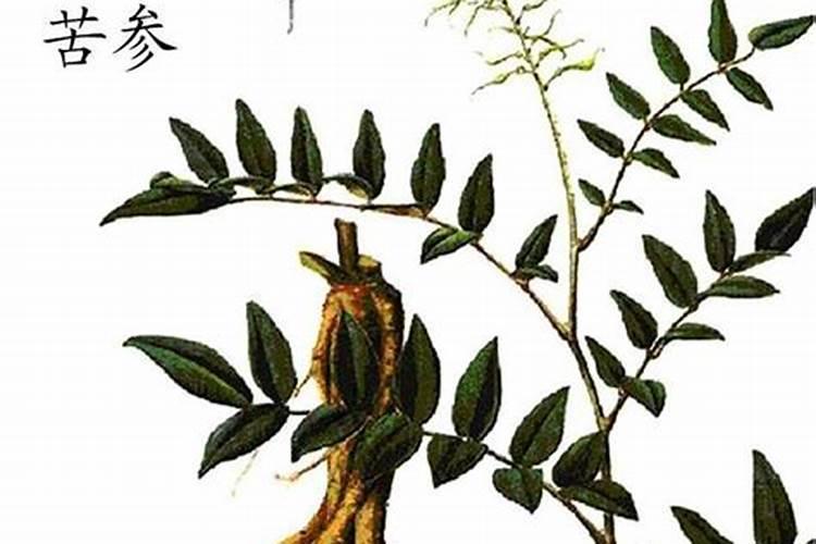 登记喷果树的药,能喷蔬菜吗