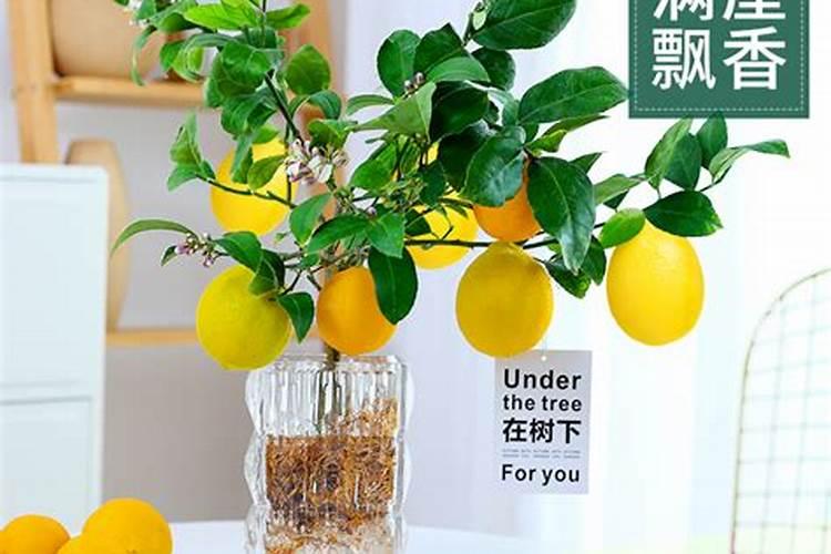 柠檬树底肥放什么肥好(底肥施用方法)