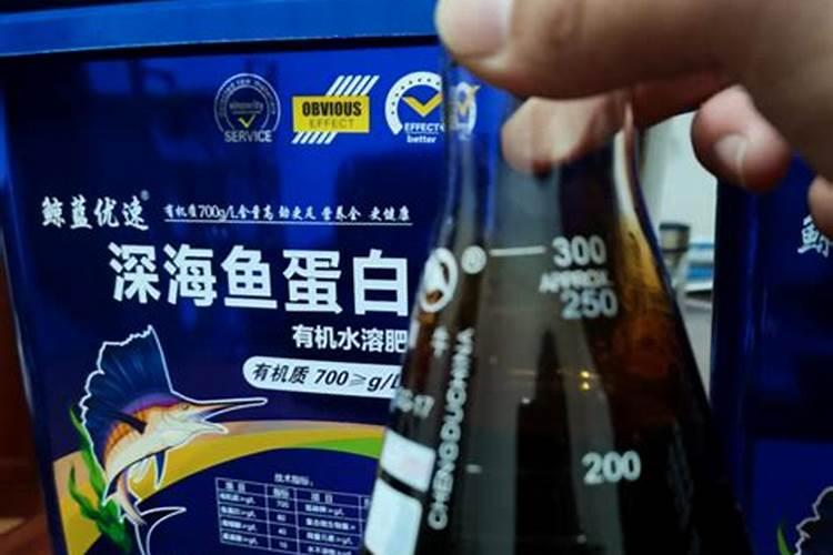 鱼喂蛋白多高好