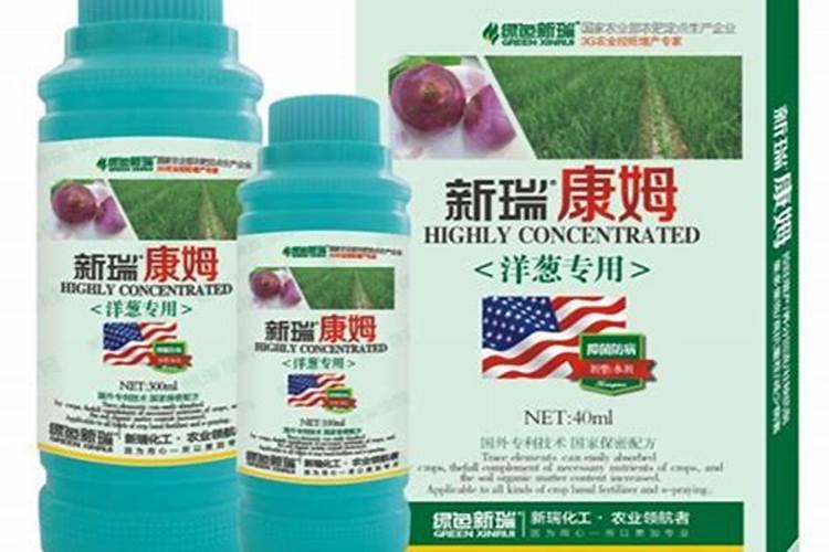 洋葱后期施什么肥