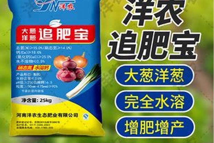 洋葱不膨大怎么回事？