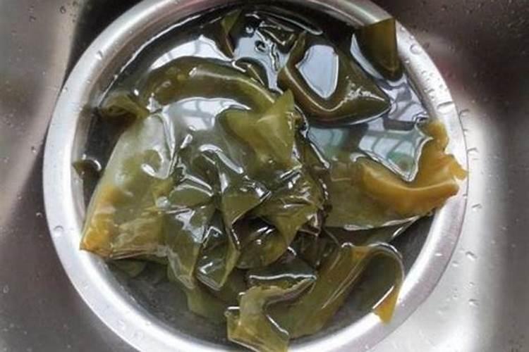 腥味比较重的叶面肥