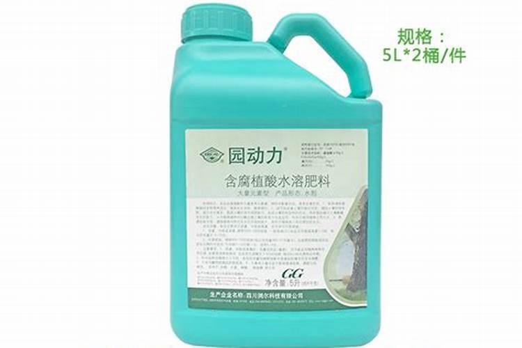 玉米干旱打叶面肥正确方法