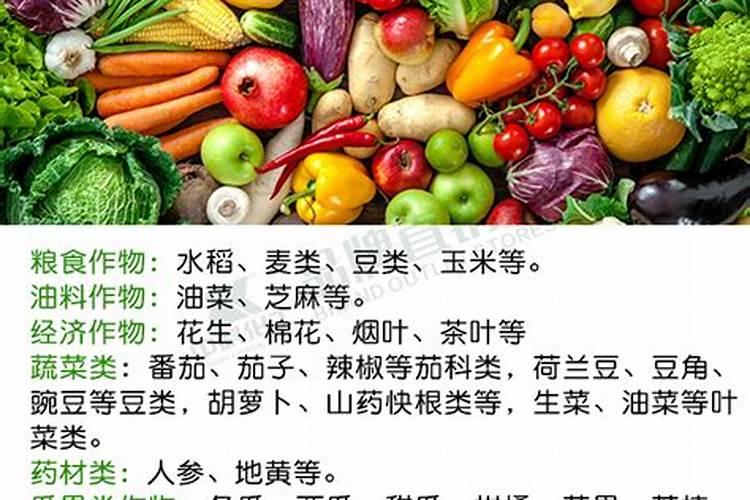 化肥农药好卖吗