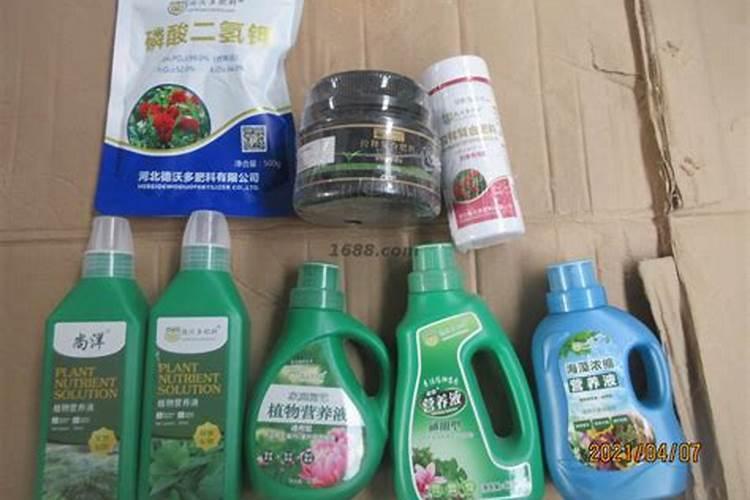栽大蒜用什么肥料最好