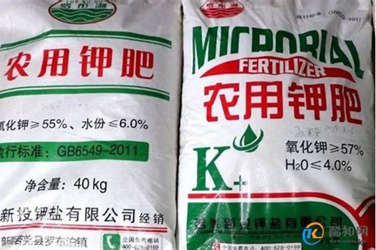 花开的时候施什么肥最好？