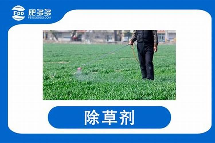 苹果树缺钙,应该怎么补充,需要注意什么？