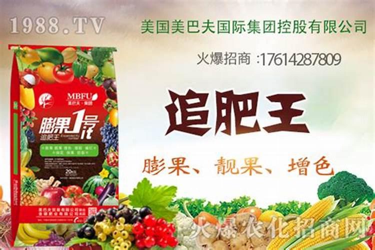 膨果肥用什么肥最好