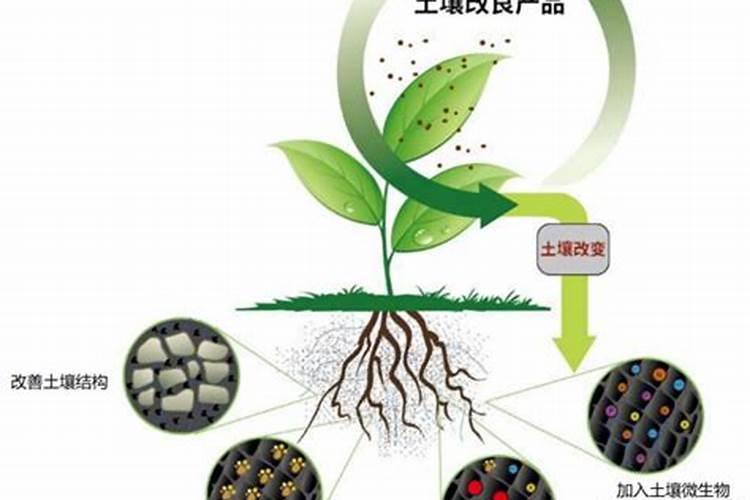 腐植酸肥如何改善土壤？