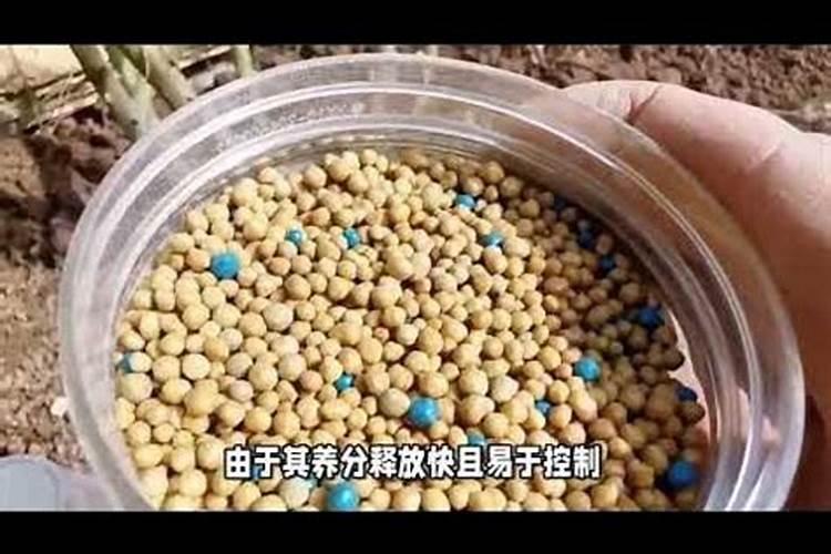 黑色的复合肥好不好