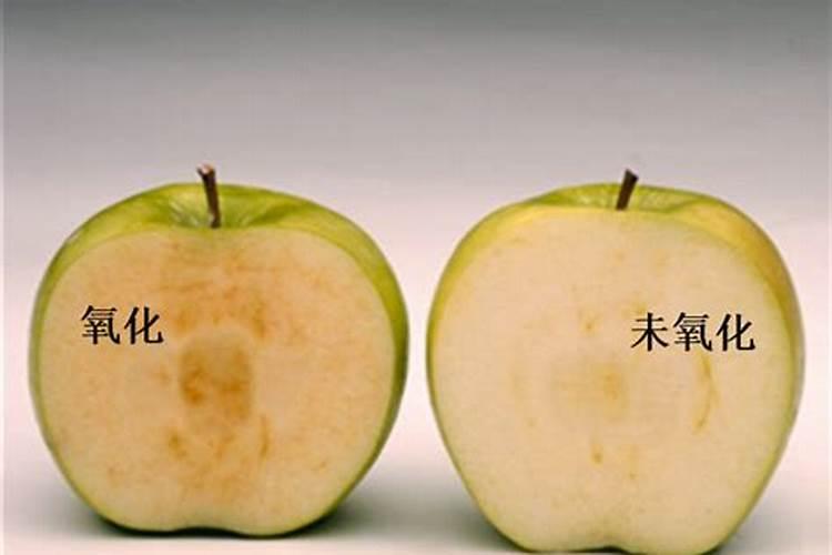 钾肥的作用是什么 钾肥的种类