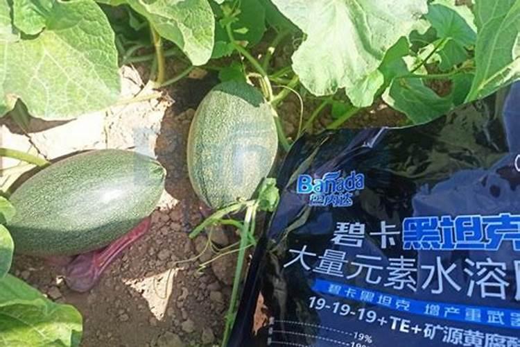 果树全年都使用水溶肥可以吗