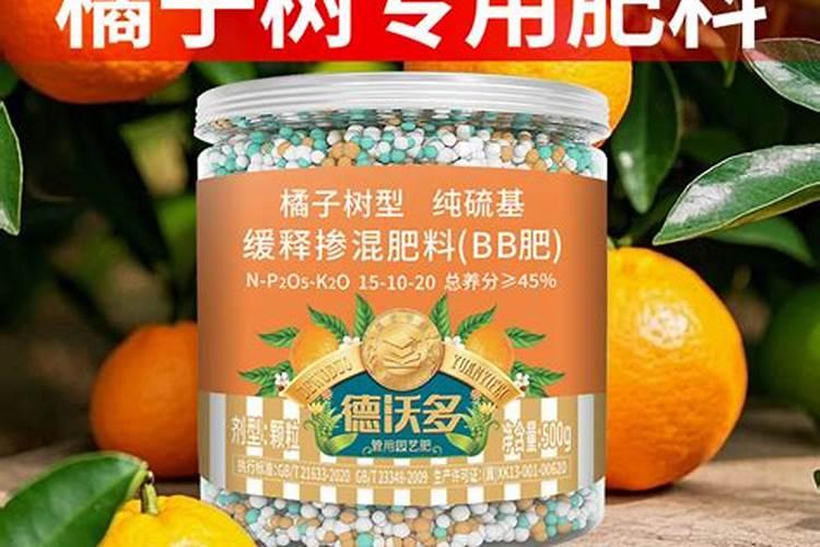 农村菜园子种植的丝瓜,有的有棱,有的没棱,这是怎么回事？