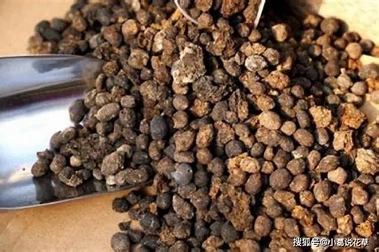 最好的天然氮肥是哪种