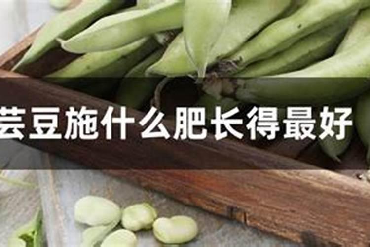 芸豆结荚期施什么肥