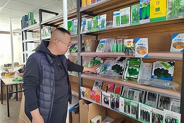 飘香藤浇水怎么浇