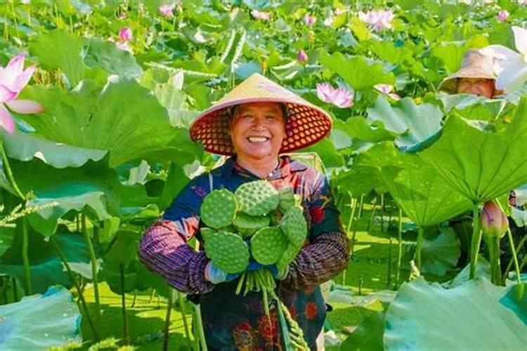 西班牙都有哪些木材