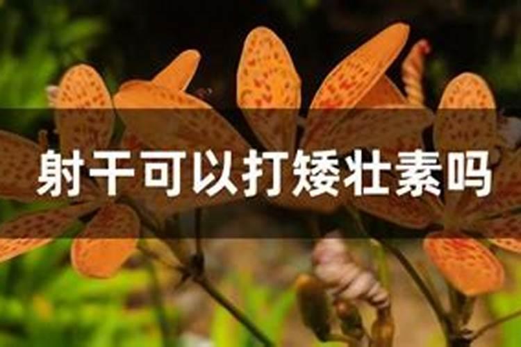 芋头浇水方法