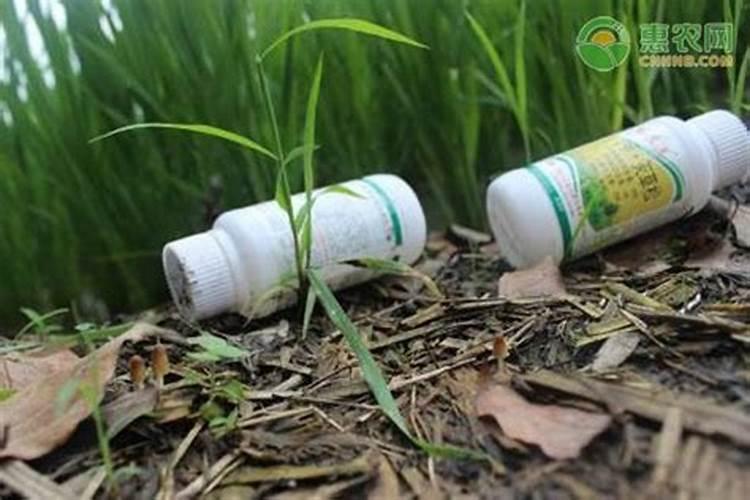 氮磷钾复合肥使用方法
