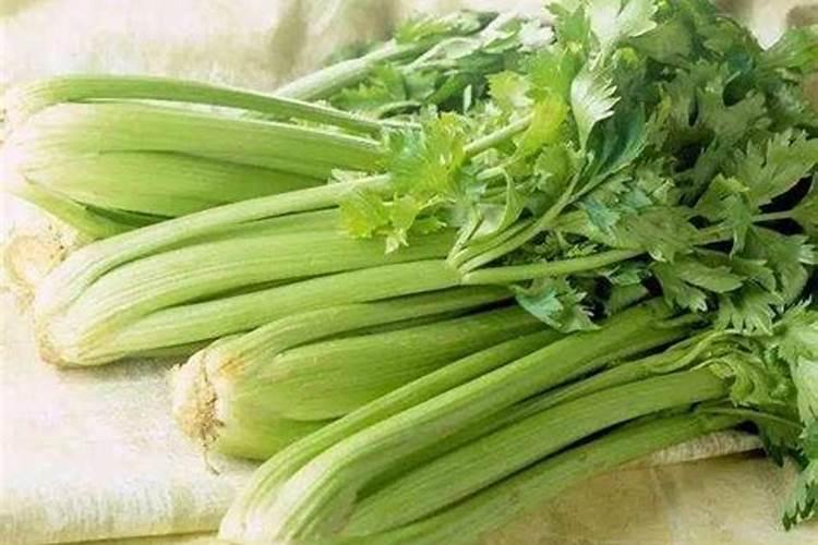 芹菜喜欢什么肥料