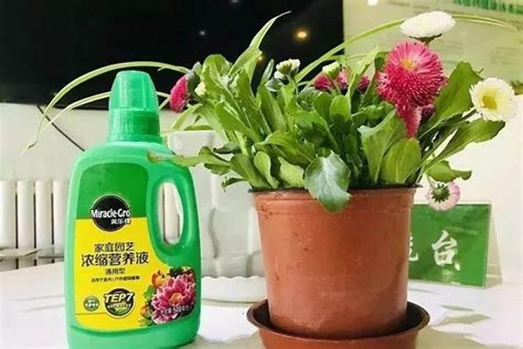 果树一至二月份开花几月份施硼肥合适、