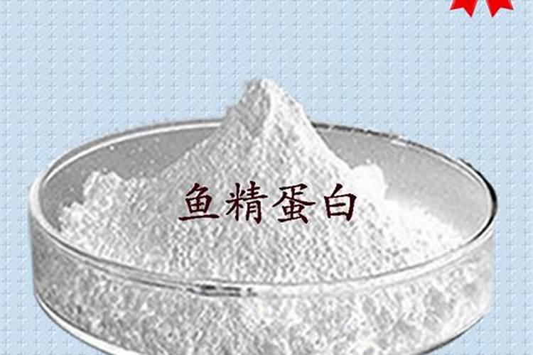 汤臣倍健鱼蛋白片产品特点