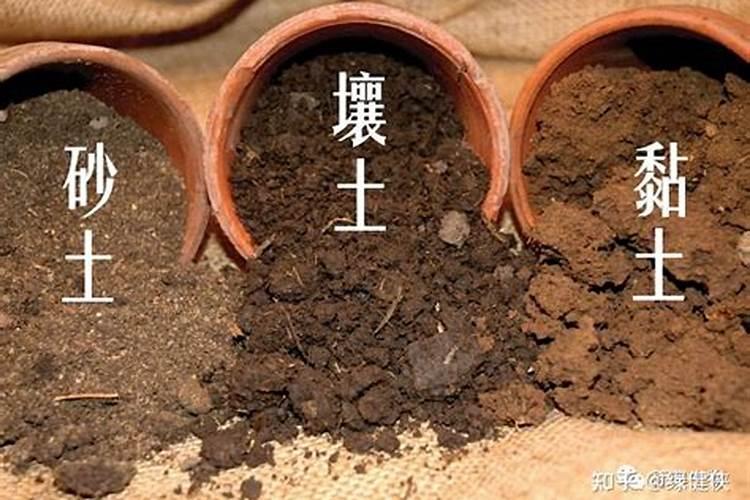 如何选择钾肥