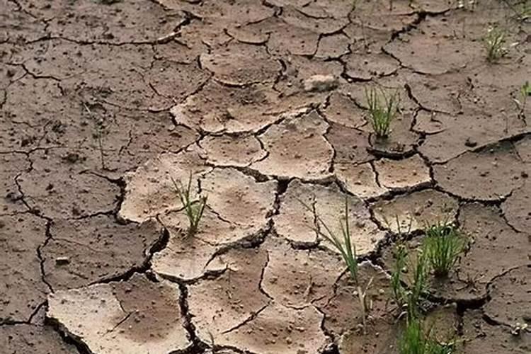 矿源黄腐酸钾对盐碱地有用吗？调节土壤冲施矿源一亩地多少用量